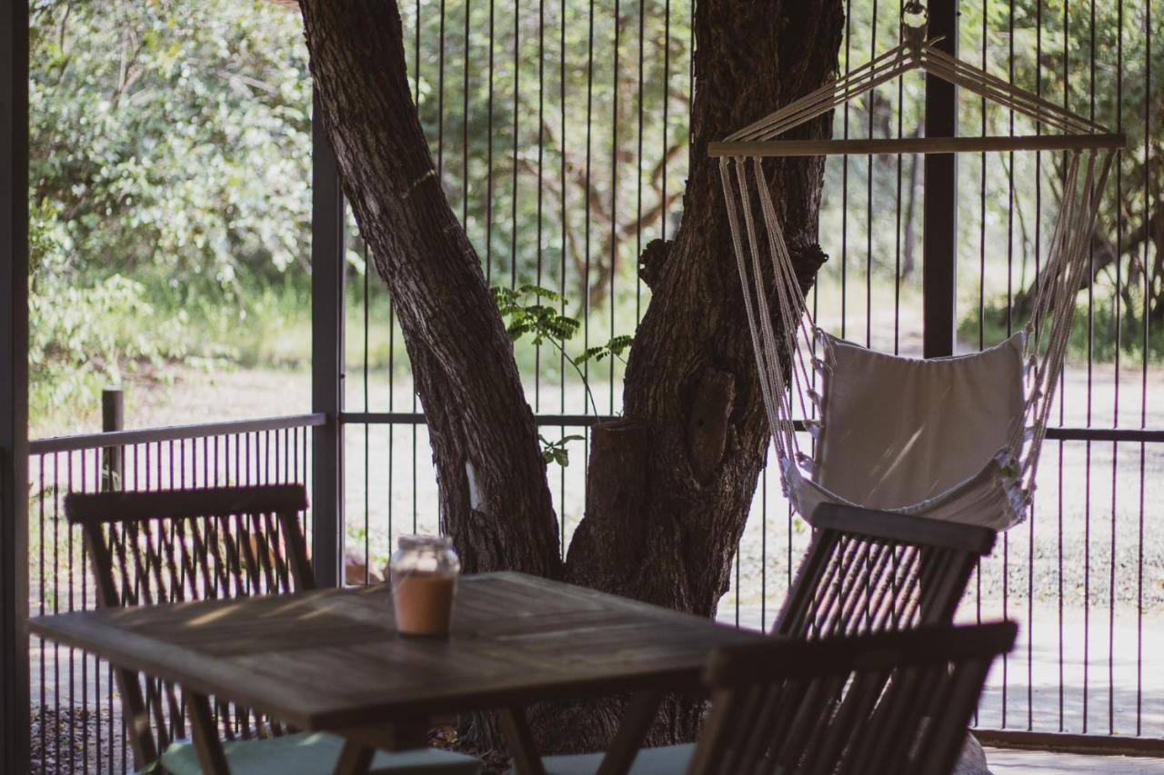 Hello Kruger Hideaway Cottage & Skilpad Studio 말로스 파크 외부 사진