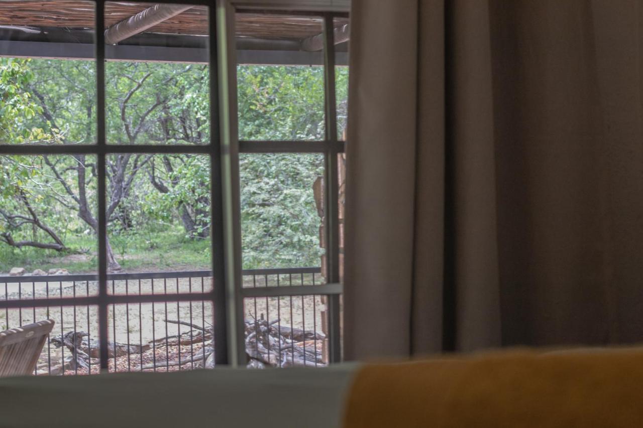 Hello Kruger Hideaway Cottage & Skilpad Studio 말로스 파크 외부 사진